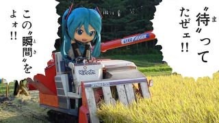 タイトル画面の真ミクさんがミクダヨーにはなるかもしれない【プロセカ】